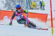 FIS Latvijas kauss 1.posms, NJR un ENL slaloms, Foto: E.Lukšo