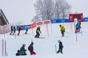 FIS Latvijas kauss 1.posms, NJR un ENL slaloms, Foto: E.Lukšo