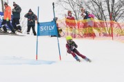 FIS Latvijas kauss 1.posms, jauniešu super gigants, Foto: E.Lukšo