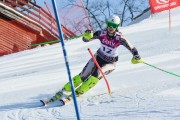 Baltijas kauss 2018 2.posms, Elites FIS slaloms, Foto: E.Lukšo