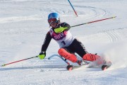 Baltijas kauss 2018 2.posms, Elites FIS slaloms, Foto: E.Lukšo