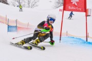 FIS Latvijas kauss 1.posms, jauniešu milzu slaloms, Foto: E.Lukšo