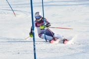 Baltijas kauss 2018 2.posms, Elites FIS slaloms, Foto: E.Lukšo