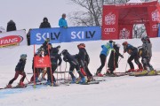 FIS Latvijas kauss 1.posms, jauniešu milzu slaloms, Foto: E.Lukšo