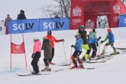 FIS Latvijas kauss 1.posms, jauniešu milzu slaloms, Foto: E.Lukšo