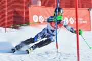 Baltijas kauss 2018 2.posms, Elites FIS slaloms, Foto: E.Lukšo