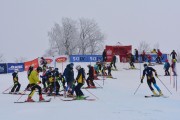 FIS Latvijas kauss 1.posms, jauniešu slaloms, Foto: E.Lukšo