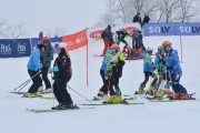 FIS Latvijas kauss 1.posms, jauniešu slaloms, Foto: E.Lukšo