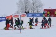 FIS Latvijas kauss 1.posms, jauniešu slaloms, Foto: E.Lukšo