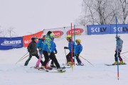 FIS Latvijas kauss 1.posms, jauniešu slaloms, Foto: E.Lukšo