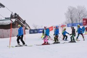 FIS Latvijas kauss 1.posms, jauniešu slaloms, Foto: E.Lukšo