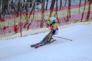 Vilciņa Kauss 2019 1.posms - Kūku mači, Foto: E.Beļakovs