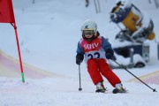 Vilciņa Kauss 2019 1.posms - Kūku mači, Foto: S.Meldere