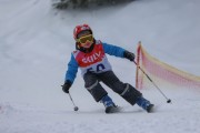 Vilciņa Kauss 2019 1.posms - Kūku mači, Foto: S.Meldere