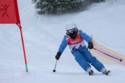 Vilciņa Kauss 2019 1.posms - Kūku mači, Foto: S.Meldere