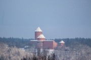 Vilciņa Kauss 2019 1.posms - Kūku mači, Foto: S.Meldere