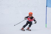 Vilciņa Kauss 2019 1.posms - Kūku mači, Foto: S.Meldere