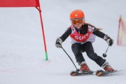 Vilciņa Kauss 2019 1.posms - Kūku mači, Foto: S.Meldere