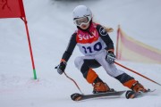 Vilciņa Kauss 2019 1.posms - Kūku mači, Foto: S.Meldere