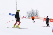 FIS Latvijas kauss 2.posms, pieaugušo milzu slaloms, Foto: E.Lukšo