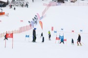 FIS Latvijas kauss 2.posms, pieaugušo milzu slaloms, Foto: E.Lukšo