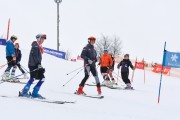 FIS Latvijas kauss 2.posms, pieaugušo milzu slaloms, Foto: E.Lukšo