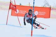 FIS Latvijas kauss 2.posms, pieaugušo milzu slaloms, Foto: E.Lukšo