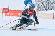 FIS Latvijas kauss 2.posms, pieaugušo milzu slaloms, Foto: E.Lukšo