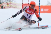 FIS Latvijas kauss 2.posms, pieaugušo milzu slaloms, Foto: E.Lukšo