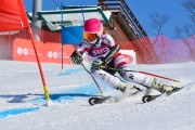 Baltijas kauss 2018 2.posms, jauniešu un meistaru GS, Foto: E.Lukšo