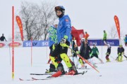 FIS Latvijas kauss 2.posms, NJR un ENL slaloms, Foto: E.Lukšo