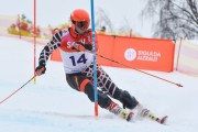 FIS Latvijas kauss 2.posms, NJR un ENL slaloms, Foto: E.Lukšo