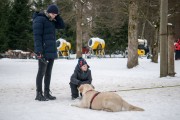 FIS Latvijas kauss 2.posms, NJR un ENL slaloms, Foto: E.Lukšo