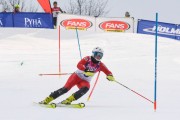 FIS Latvijas kauss 2.posms, NJR un ENL slaloms, Foto: E.Lukšo