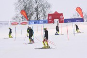 FIS Latvijas kauss 2.posms, NJR un ENL slaloms, Foto: E.Lukšo