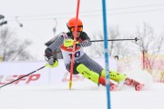 FIS Latvijas kauss 2.posms, NJR un ENL slaloms, Foto: E.Lukšo