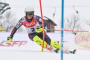 FIS Latvijas kauss 2.posms, NJR un ENL slaloms, Foto: E.Lukšo