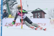 FIS Latvijas kauss 2.posms, NJR un ENL slaloms, Foto: E.Lukšo