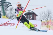 FIS Latvijas kauss 2.posms, NJR un ENL slaloms, Foto: E.Lukšo