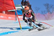 Baltijas kauss 2018 2.posms, jauniešu un meistaru GS, Foto: E.Lukšo