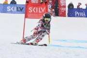 FIS Latvijas kauss 2.posms, jauniešu super gigants, Foto: E.Lukšo