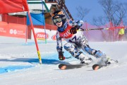 Baltijas kauss 2018 2.posms, jauniešu un meistaru GS, Foto: E.Lukšo