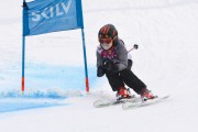 FIS Latvijas kauss 2.posms, jauniešu super gigants, Foto: E.Lukšo