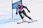 FIS Latvijas kauss 2.posms, jauniešu super gigants, Foto: E.Lukšo