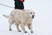 FIS Latvijas kauss 2.posms, jauniešu milzu slaloms, Foto: E.Lukšo