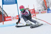 FIS Latvijas kauss 2.posms, jauniešu milzu slaloms, Foto: E.Lukšo