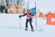 FIS Latvijas kauss 2.posms, jauniešu milzu slaloms, Foto: E.Lukšo