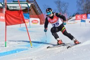 Baltijas kauss 2018 2.posms, jauniešu un meistaru GS, Foto: E.Lukšo