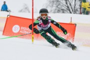 FIS Latvijas kauss 2.posms, jauniešu slaloms, Foto: E.Lukšo