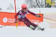 FIS Latvijas kauss 2.posms, jauniešu slaloms, Foto: E.Lukšo